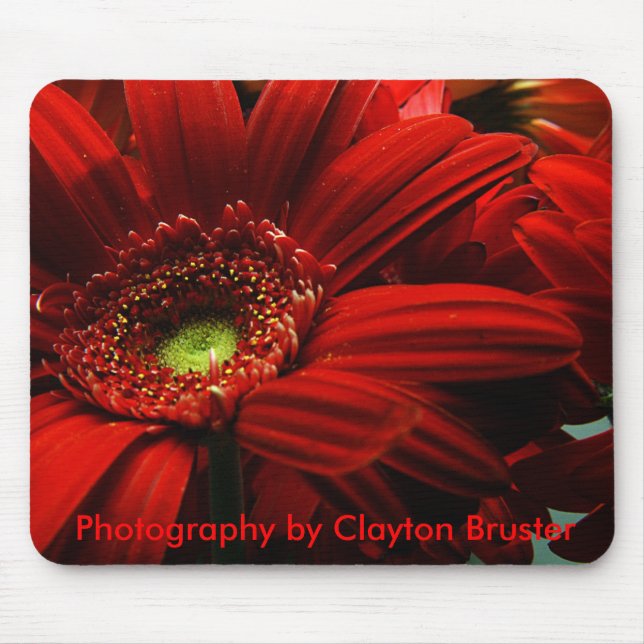 Tapis de souris -- Floral rouge (Devant)