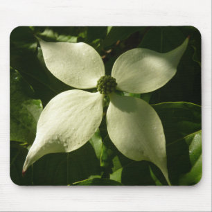 Tapis De Souris Flore printanière du Dogwood illuminé