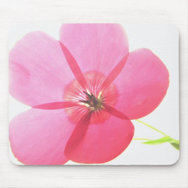 Tapis De Souris Flore rose transparent (Devant)