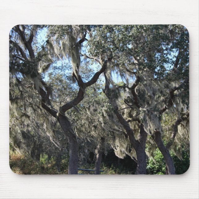 Tapis De Souris Florida Spanish Moss (Devant)