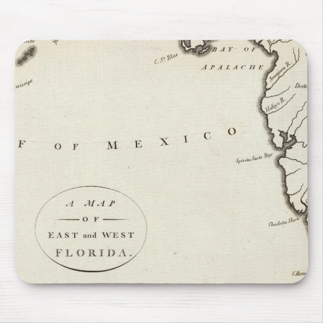 Tapis De Souris Floride orientale et occidentale (Devant)