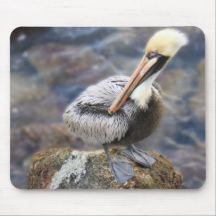 Tapis De Souris Floride Pélican Brown debout sur Jetty Rock