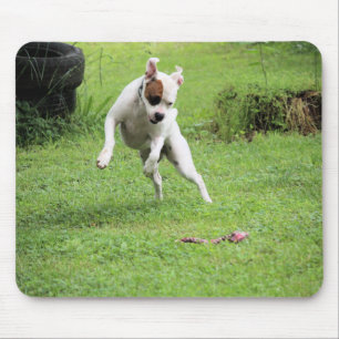Tapis De Souris Flottant