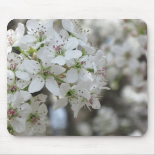 Tapis De Souris Flower Pear Tree Bloom