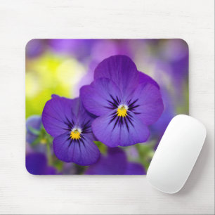Tapis De Souris Flowers (homonymie) Purple Pansies