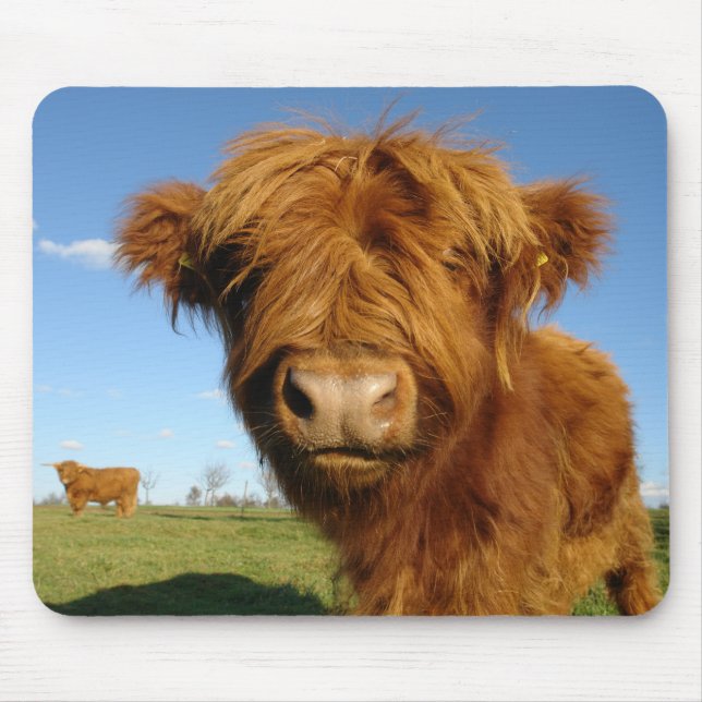 Tapis De Souris Fluffy Scottish Highland Cow (Devant)