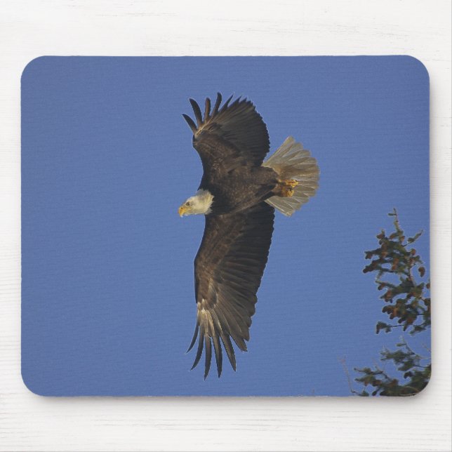 Tapis De Souris Flying Bald Eagle Wildlife-Supporter Art (Devant)