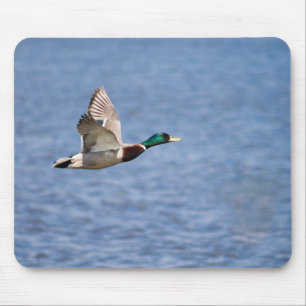 Tapis De Souris Flying Mallard