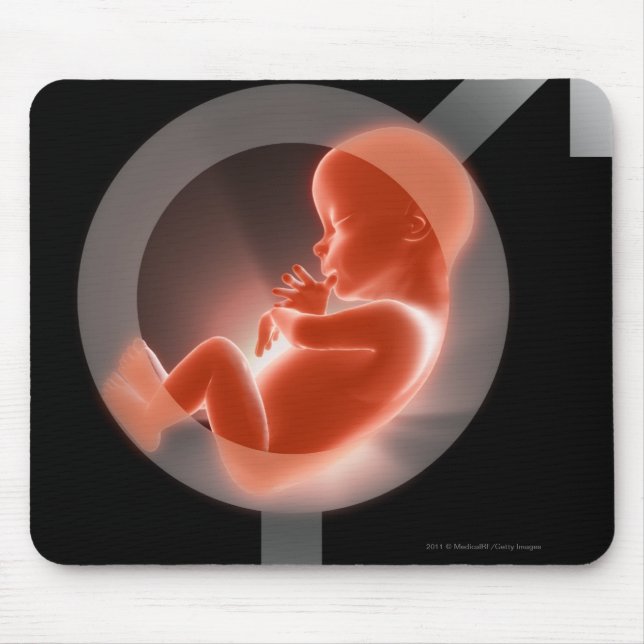Tapis De Souris Foetus superposé au-dessus des symboles masculins (Devant)