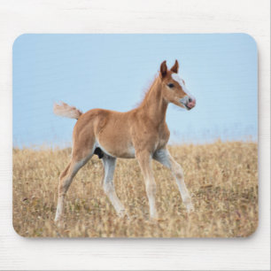 Tapis De Souris Foie sauvage de Mustang