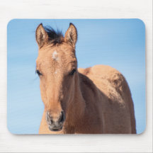 Foie sauvage de Mustang