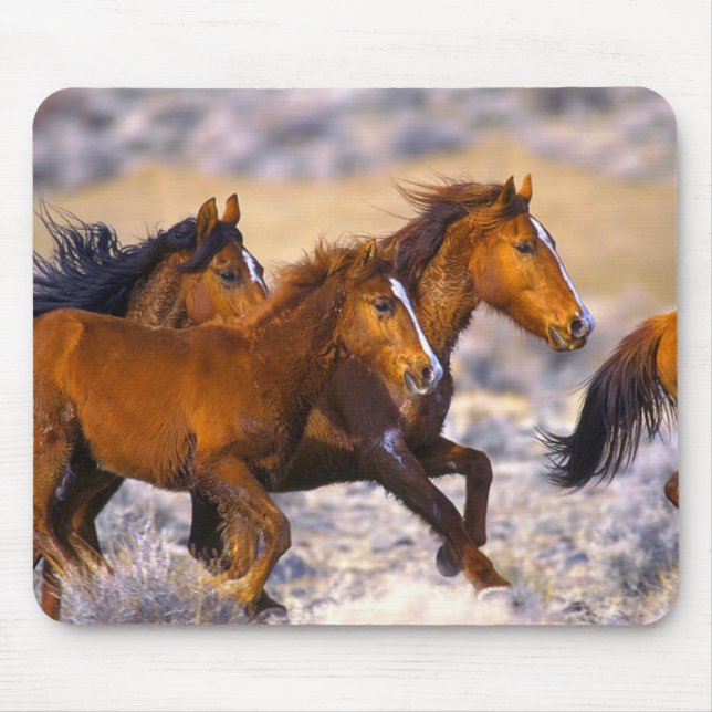 Tapis De Souris Fonctionnement de chevaux (Devant)