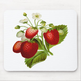 Tapis De Souris Food fruit leaf leafy leaves