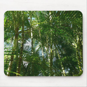 Tapis De Souris Forest of Palm Trees Tropical Nature