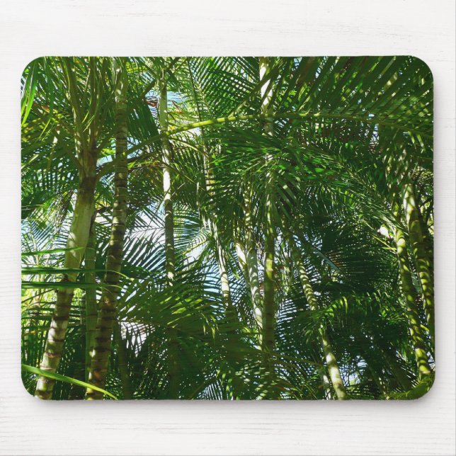 Tapis De Souris Forest of Palm Trees Tropical Nature (Devant)