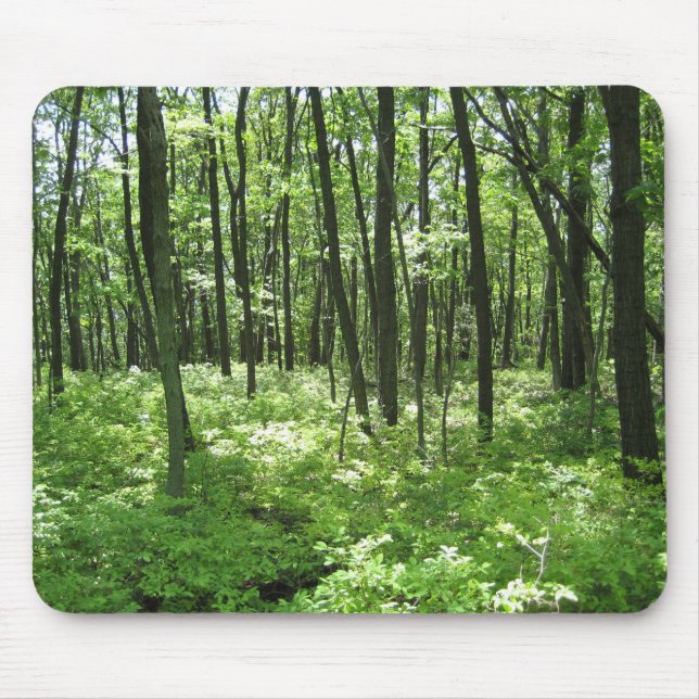 Tapis De Souris Forêt (Devant)
