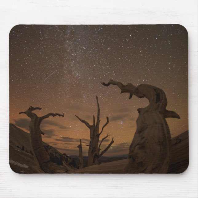 Tapis De Souris Forêt ancienne de pins à Bristlecone | Californie (Devant)