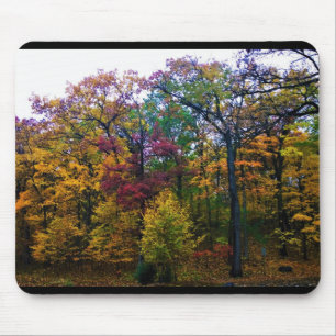 Tapis De Souris Forêt d'automne sombre