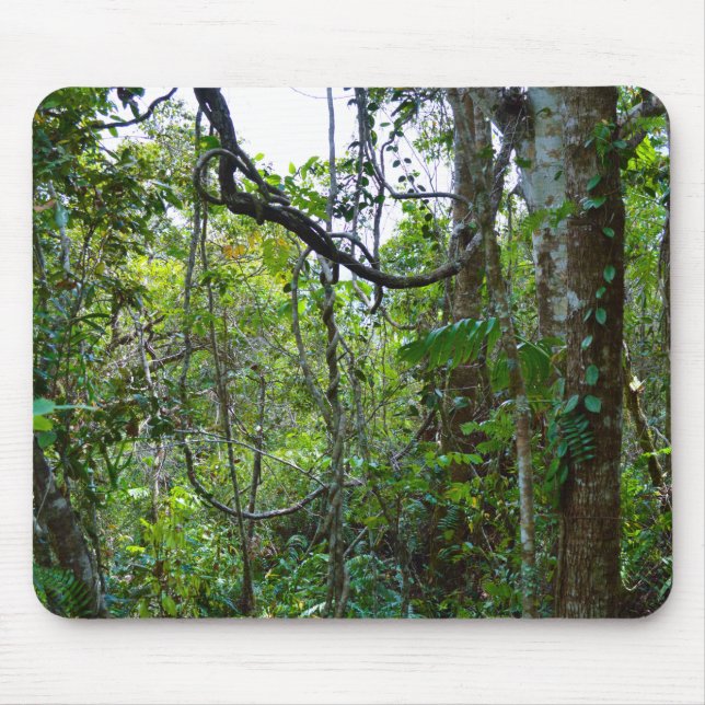 Tapis De Souris Forêt de pluie (Devant)