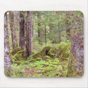 Tapis De Souris Forêt de Sitka
