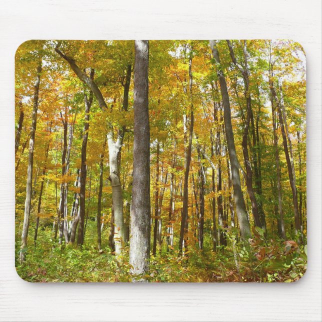 Tapis De Souris Forêt du paysage d'automne Feuille Jaune (Devant)