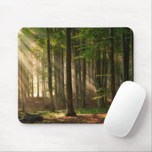 Tapis De Souris Forêt   Forêt d'automne