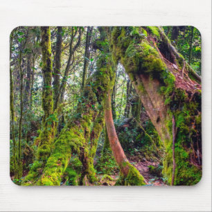Tapis De Souris Forêt moussue