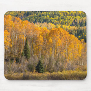 Tapis De Souris Forêt nationale de Gunnison