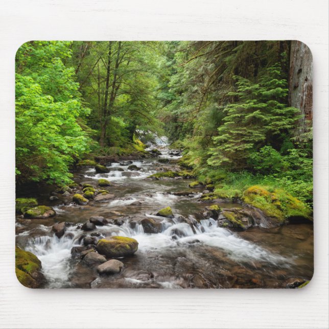 Tapis De Souris Forêt nationale de Siuslaw | Sweet Creek (Devant)