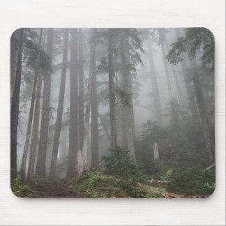 Tapis De Souris Forêt Nature