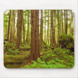 Tapis De Souris Forêt pluviale tempérée d'Alaska