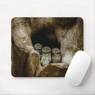 Tapis De Souris Forêt Trois Chouettes
