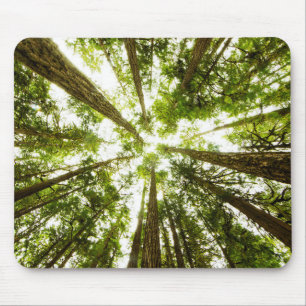 Tapis De Souris Forêt tropicale verte luxuriante