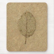 fossile Brown de Leaf