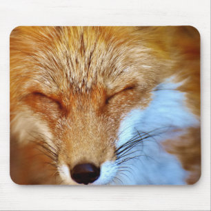 Tapis De Souris Fox