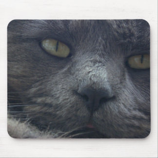 Tapis de souris frais de visage de chat