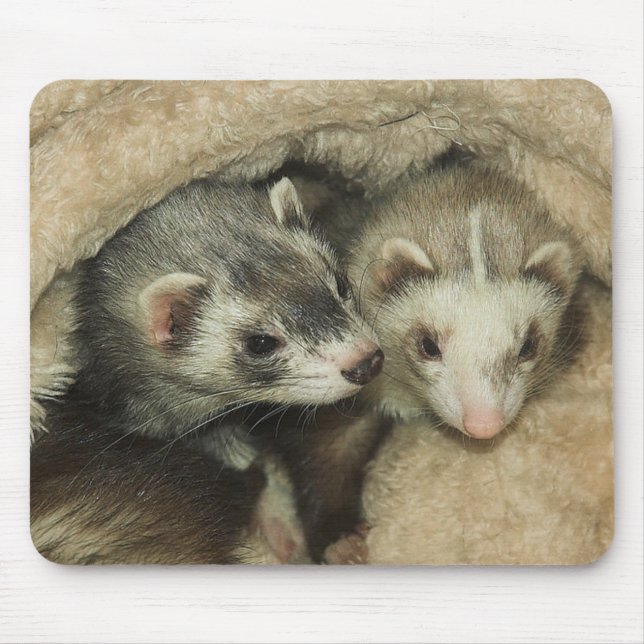 Tapis De Souris Fraises-mères et Jills de furets de bébé (Devant)