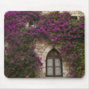 Tapis De Souris France, Provence, Èze. Rose vif