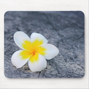 Tapis De Souris frangipanier