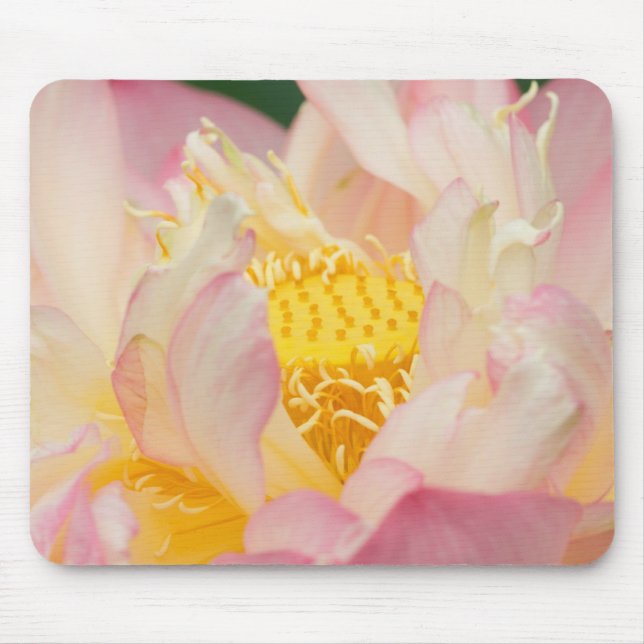 Tapis De Souris Franklin NC, jardin d'eau de Perry, Lotus avec (Devant)