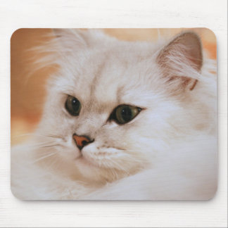 Tapis De Souris Freddie le grand Mousepad