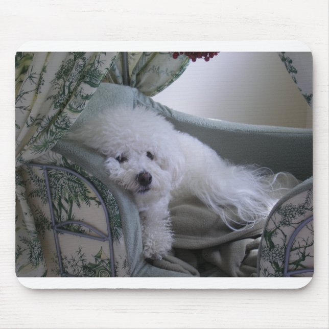 TAPIS DE SOURIS FRISE DE BICHON (Devant)