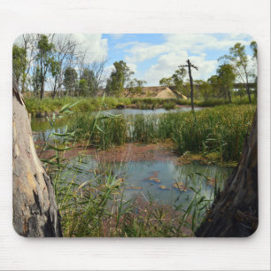 Tapis De Souris Frog_swap_Paradise,_