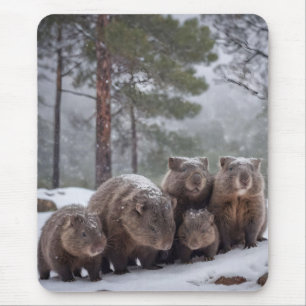 Tapis De Souris Frozen Burrow : Australian Wombat Family,
