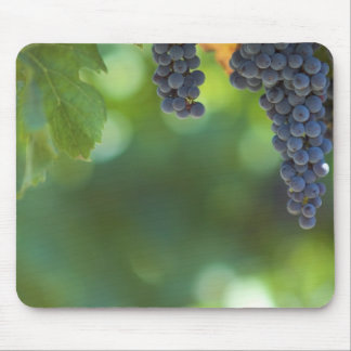 Tapis De Souris Fruit et nourriture Mousepad 15