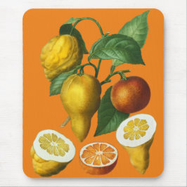 TAPIS DE SOURIS FRUITS DE CITRÉ