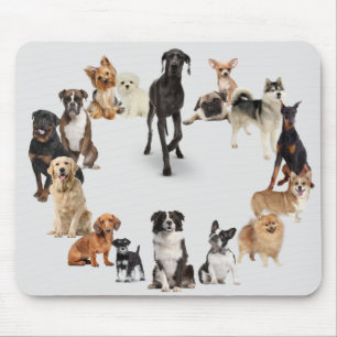 Tapis De Souris Fun Dog Breed Pet Animals Dog Custom Name