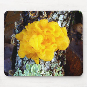 Tapis De Souris Fungi Tremella Mesenterica Mouse Mat