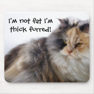 Tapis De Souris Funny Cat is Not Fat! Thick Furred