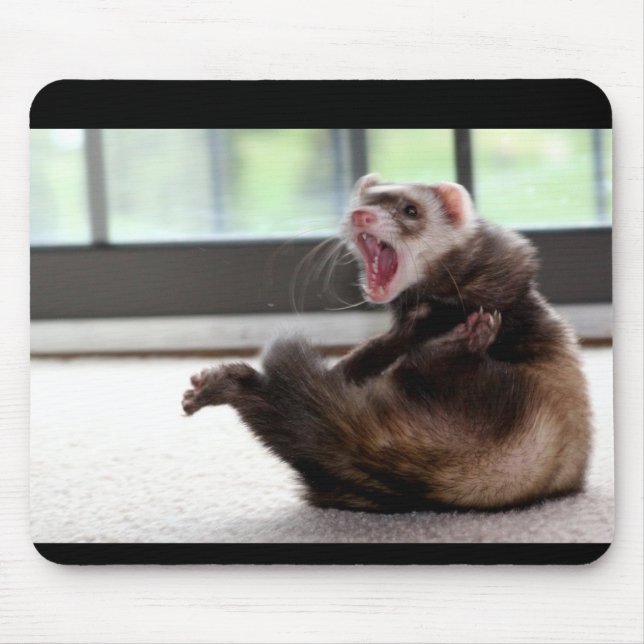 Tapis De Souris furet (Devant)